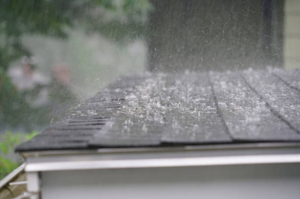 Best Roof Moss and Algae Removal  in Ferriday, LA